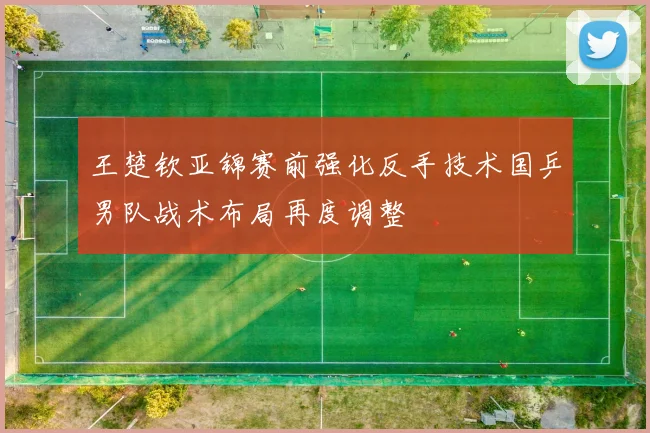 王楚钦亚锦赛前强化反手技术国乒男队战术布局再度调整